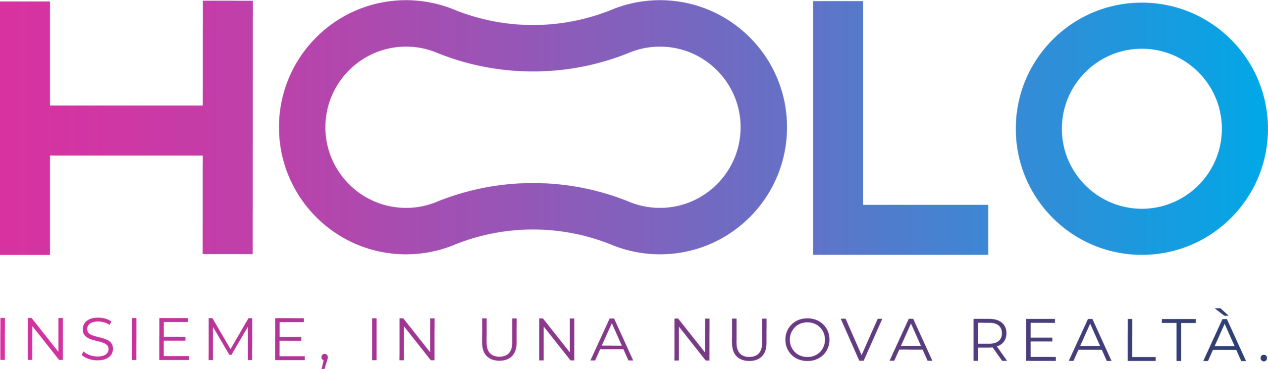Hoolo Logo