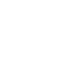 logo-consulting-si-white